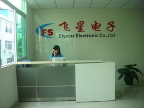 深圳市寶安區(qū)沙井飛星電子廠 數(shù)碼產(chǎn)品的創(chuàng)新與制造基地